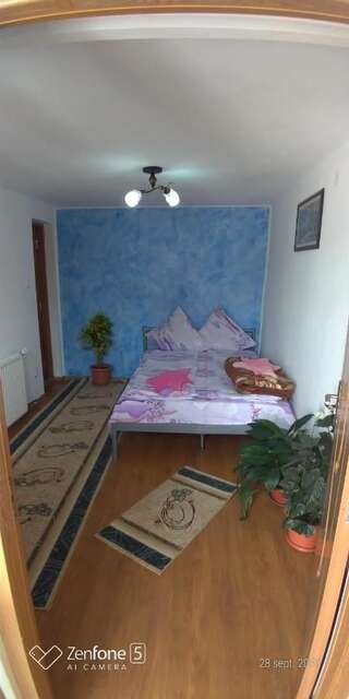 Проживание в семье Casa Ana Хацег Двухместный номер с 1 кроватью и собственной ванной комнатой-6